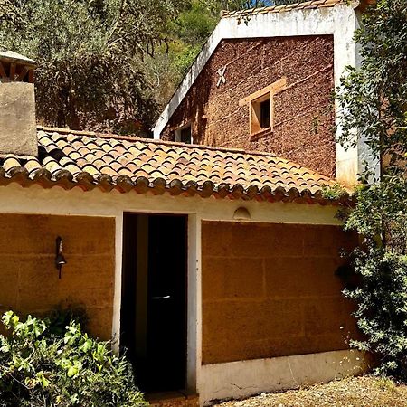 בית הארחה Troviscais 	Casas Da Cerca מראה חיצוני תמונה