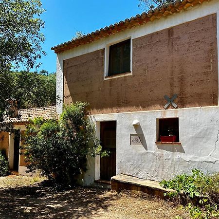 בית הארחה Troviscais 	Casas Da Cerca מראה חיצוני תמונה