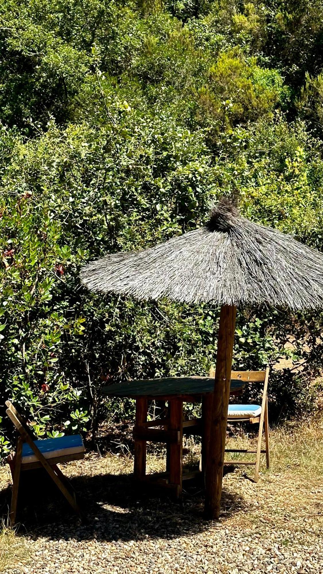 בית הארחה Troviscais 	Casas Da Cerca מראה חיצוני תמונה