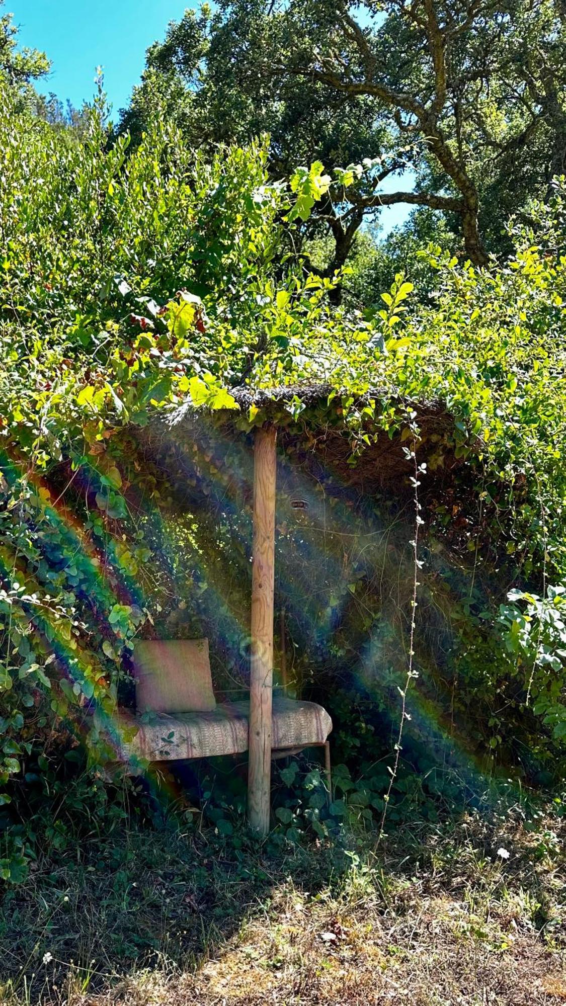 בית הארחה Troviscais 	Casas Da Cerca מראה חיצוני תמונה