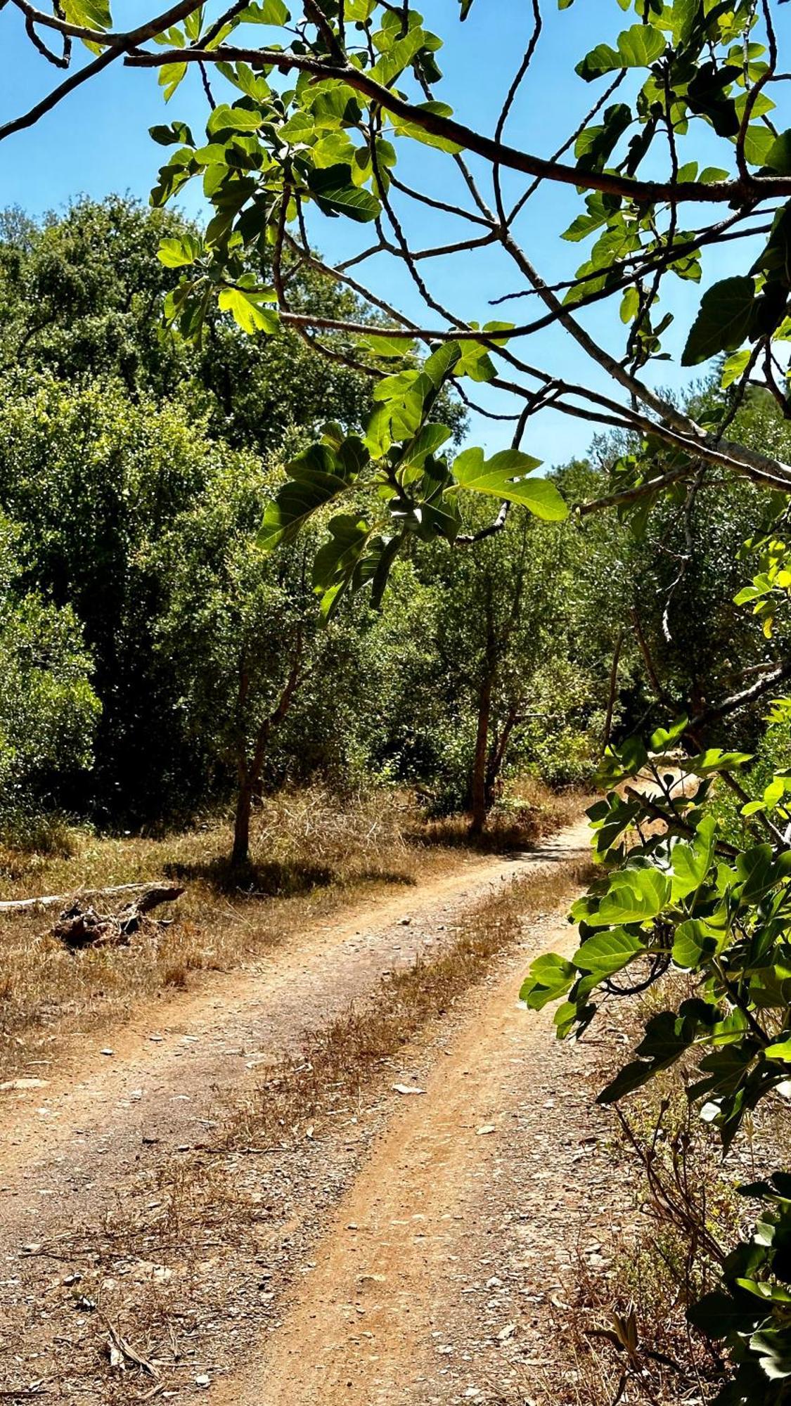 בית הארחה Troviscais 	Casas Da Cerca מראה חיצוני תמונה